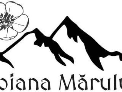 cropped-logo-6