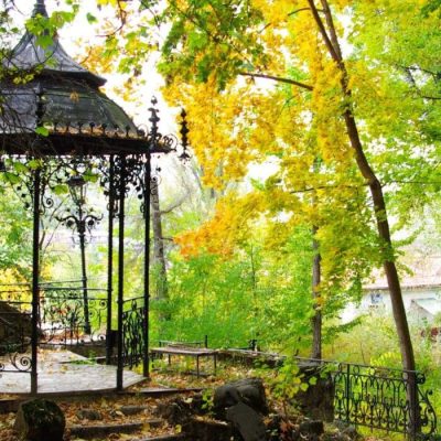 foisor-scaled-q9we1dcle82jfwfg24juu73rods7dw88qejjeis7bk